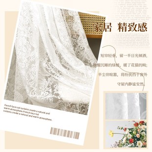 防蚊入户门幻影薄纱窗帘透光不透人窗户家用 飘窗蕾丝纱帘门帘夏季