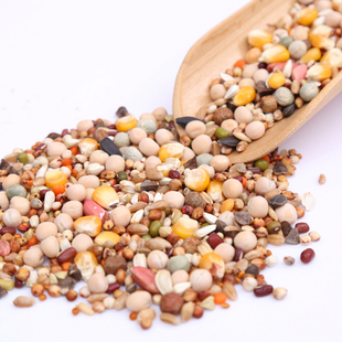 精品20斤装有玉米鸽粮赛飞营养饲料鸟食信鸽观赏鸽肉鸽粮鸽子食