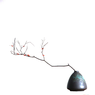 干支枝梅花艺插花瓶器复古干花枝干枝装饰摆件枯树枝禅意花束侘寂