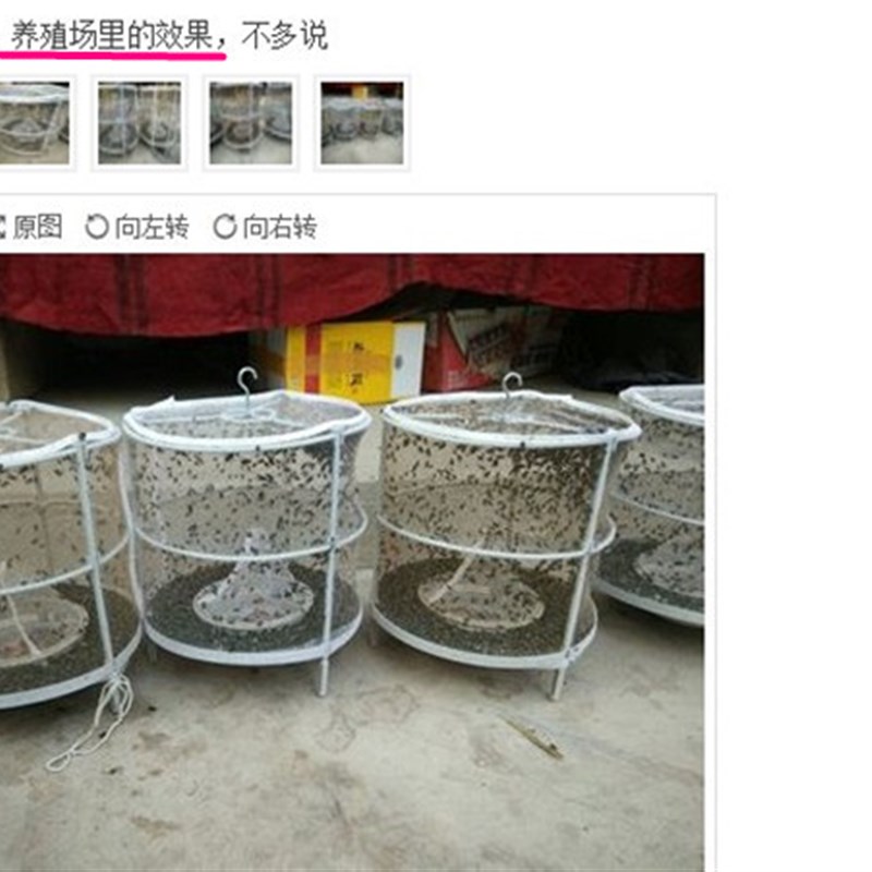捕蝇神器苍蝇诱捕笼 蚊子捕捉器悬挂捕蝇器 户外灭蝇笼餐厅诱捕器