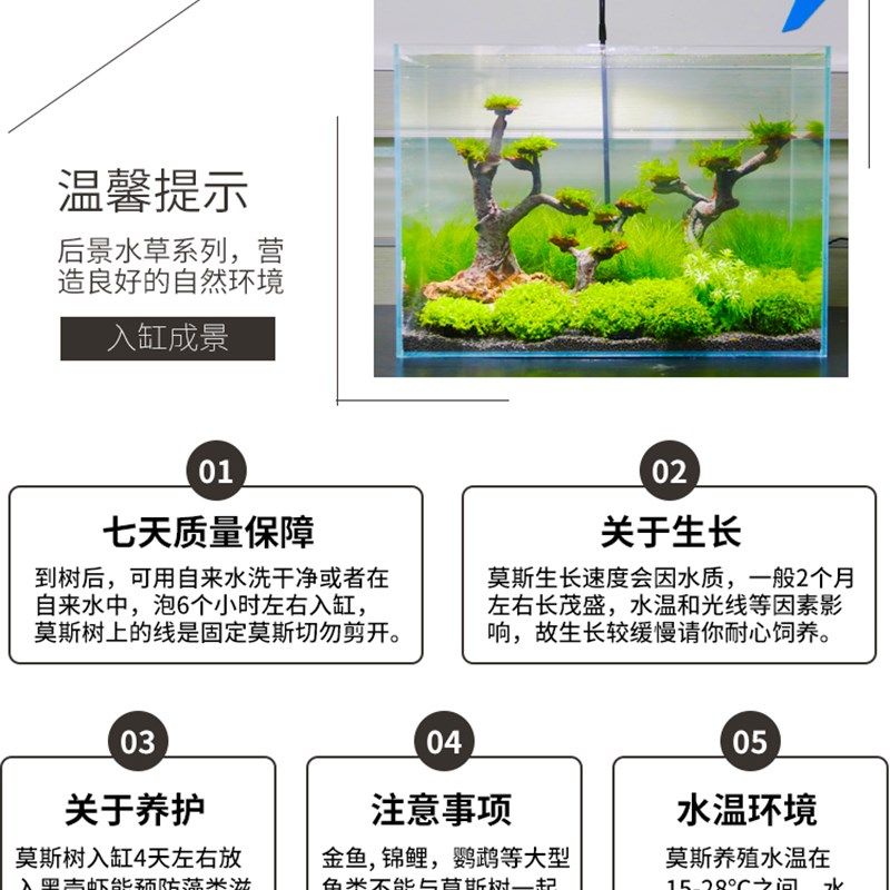 鱼缸莫斯树造景水草沉木树迎客松莫斯树骨架材料懒人造景摆件