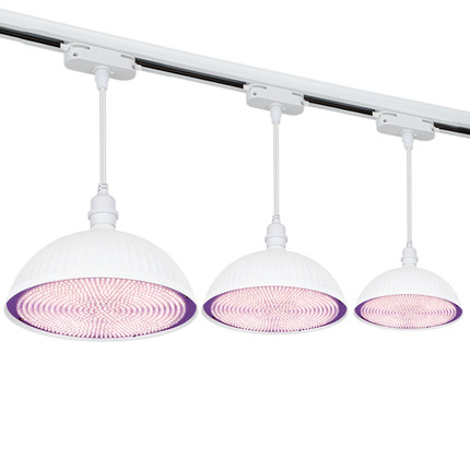 2023新款轨道国标led生鲜灯白光高显全光谱猪肉海鲜熟食水果射灯