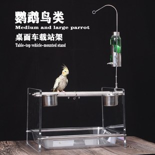183小宠物新款中大型鹦鹉磨砂站杆架子亚克力小鸟站架桌面站架