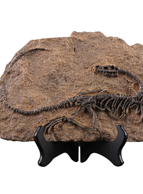 北欧恐龙复古摆件壁饰创意壁挂软装饰品办公室桌面小摆设品甲骨文