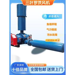 三叶罗茨风机增氧机鱼塘养殖污水处理正负压气力输送鼓风机