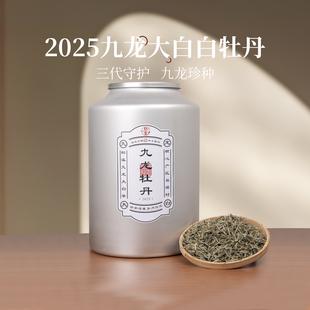 朴雾正宗白茶2025年九龙大白牡丹王新茶特级茶叶散茶口粮茶自己喝