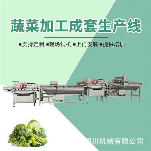 全自动蔬菜除农残清洗机 净菜加工清洗甩干生产线设备 涡流洗菜机