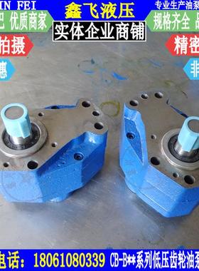 XCB-B80XTCB-B100TXCB-B125低压齿轮油泵润滑泵静音设计