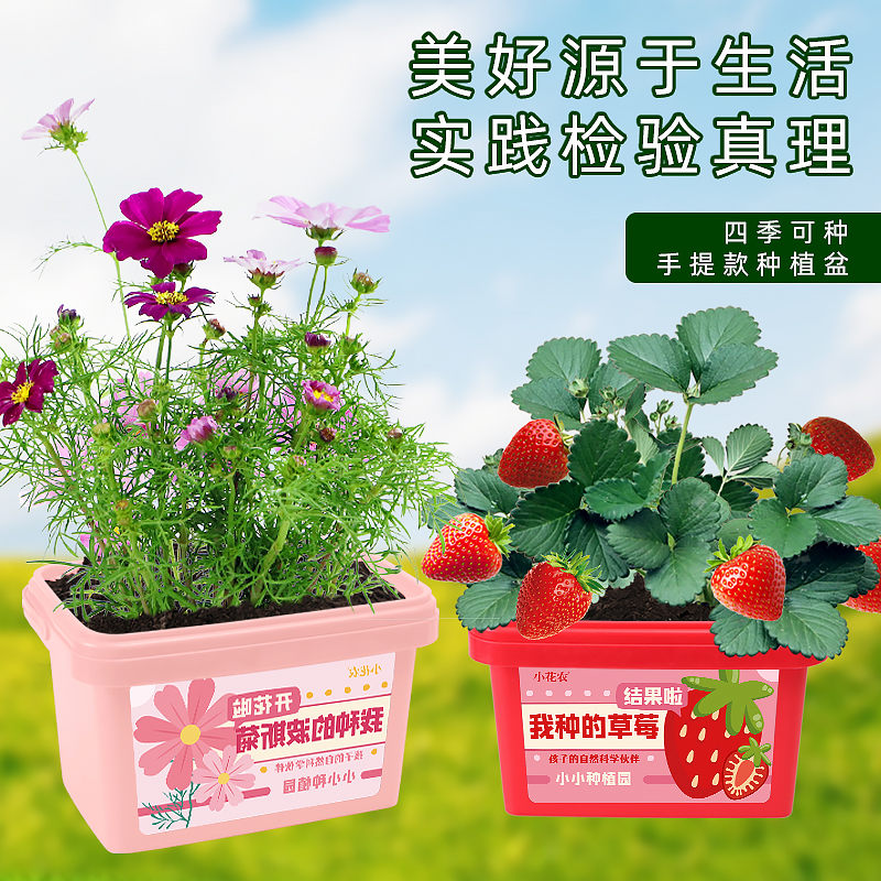 小花农儿童种植园小盆栽迷你农场植物种子观察幼儿园学生朋友种菜