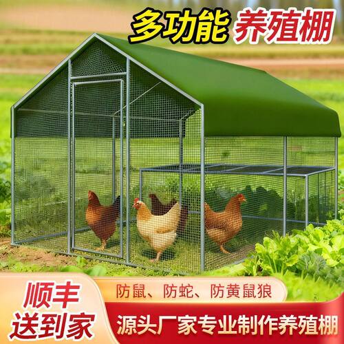 户外养殖棚鸡鸭鹅笼子室外大型搭建鸡舍养鸡笼家禽鸽舍孔雀养殖笼
