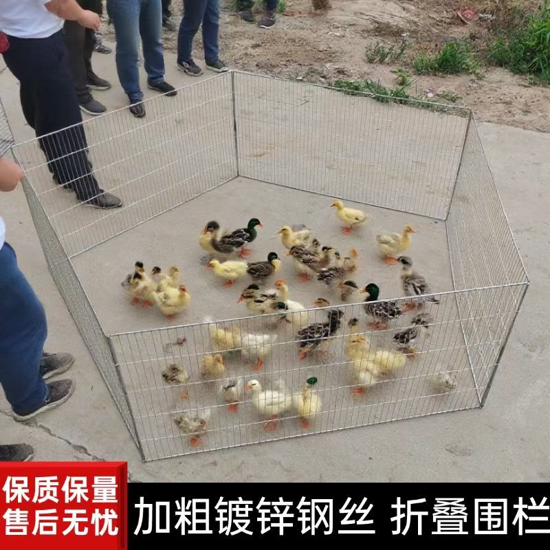 镀锌网加密围栏兔笼防锈可折叠鸡鸭隔离花园菜地围网摆摊宠物养殖