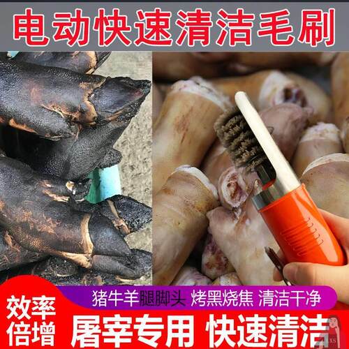 洗猪脚神器电动猪头猪脚清洗机刷牛羊腿脚肉火烧清洁退猪蹄去毛刷
