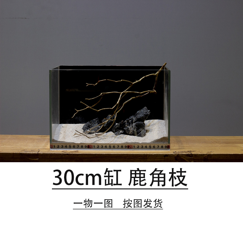 鹿角枝沉木南美缸造景鹿角枝干树枝小鱼缸布景枯木30缸小树枝条