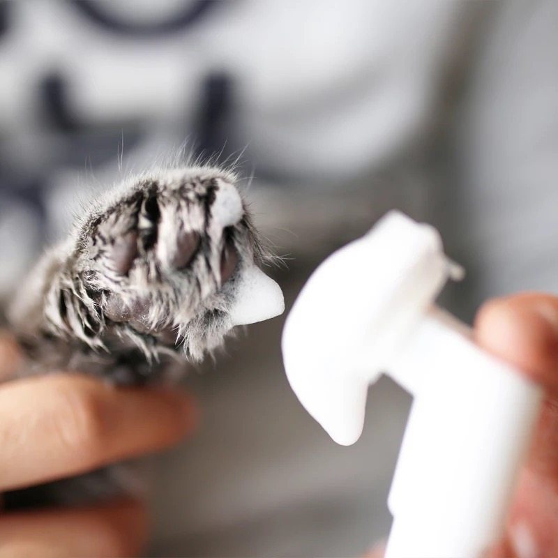 狗狗猫咪肉垫清洁宠物脚垫护理狗柯基洁足泡沫洗脚免洗脚脚掌干洗,宠物/宠物食品及用品,脚掌滋润/防滑/护理,淘宝优惠券,粉丝福利购,淘宝优惠卷