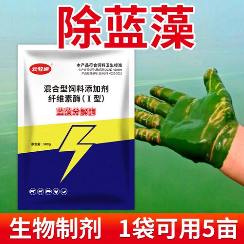 蓝藻分解酶池塘清除蓝绿藻铁锈水生物蓝藻净虾蟹鱼塘水产养殖专用