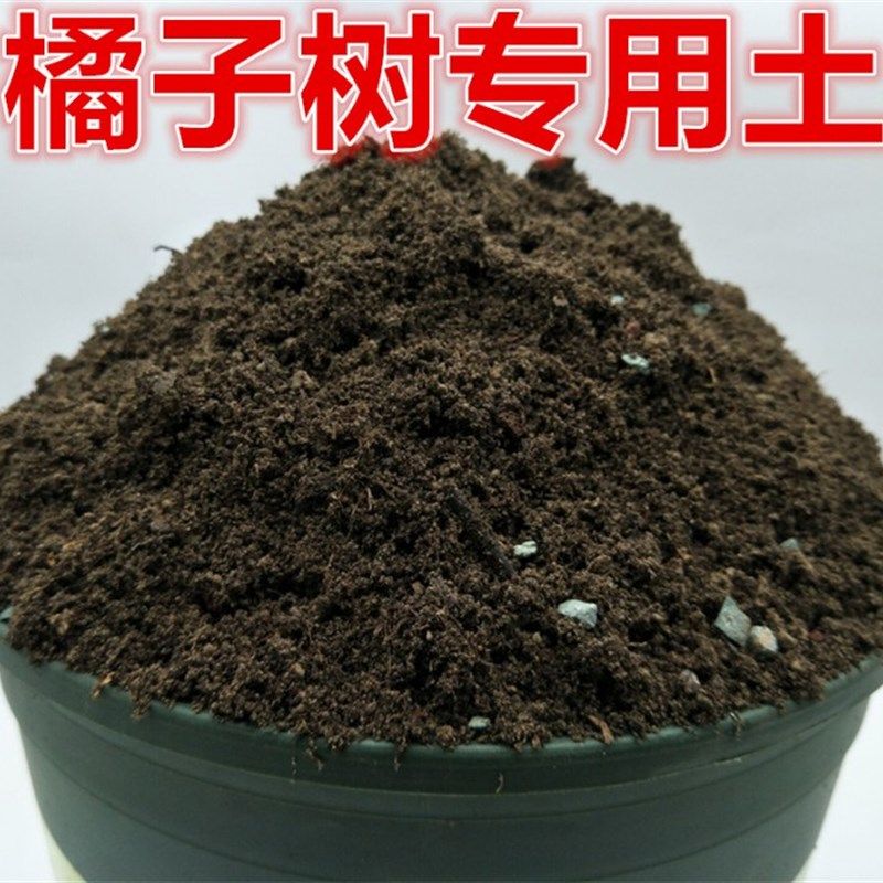 金桔树橘子树专用土家庭盆栽果树土通用型营养土酸性土壤有机肥料,鲜花速递/花卉仿真/绿植园艺,介质/营养土,淘宝优惠券,粉丝福利购,淘宝优惠卷