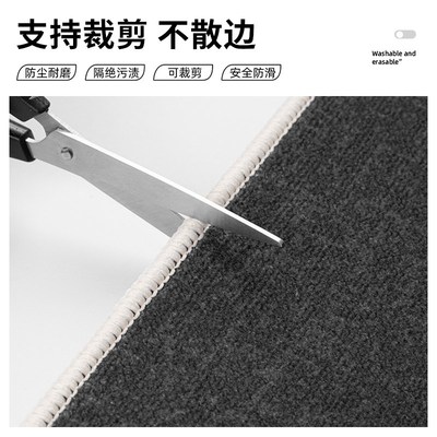 入户门地垫进门口2024新款入门玄关耐脏免洗可擦门外蹭脚垫高级感