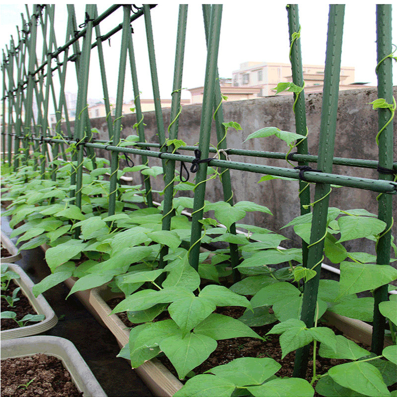 黄瓜番茄葡萄爬藤支架包塑钢管杆菜园支架爬藤花架园艺花卉支撑杆,鲜花速递/花卉仿真/绿植园艺,花架,淘宝优惠券,粉丝福利购,淘宝优惠卷