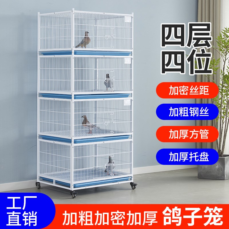 鸽子笼配对笼鸟笼公棚鸽舍繁育笼鸽子室内观察笼防黄鼠狼鸽子笼子