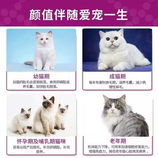 试吃鲜肉猫粮10斤实惠大包装 农村土猫咪幼猫成猫通用流浪猫救助粮