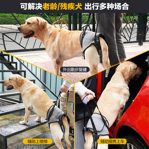 狗狗后腿辅助背带中型大型老龄残疾犬受伤康复减压辅助出行牵引绳