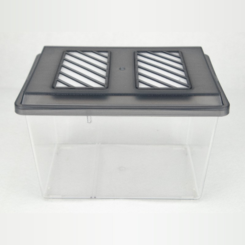 【牧野虫社 甲虫盒】专业甲虫饲养箱防木蚋杂虫透气保湿高透明