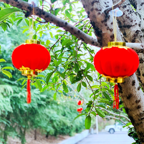 植绒小灯笼户外景观布置盘栽小树挂饰喜庆场景布置新年喜庆挂件
