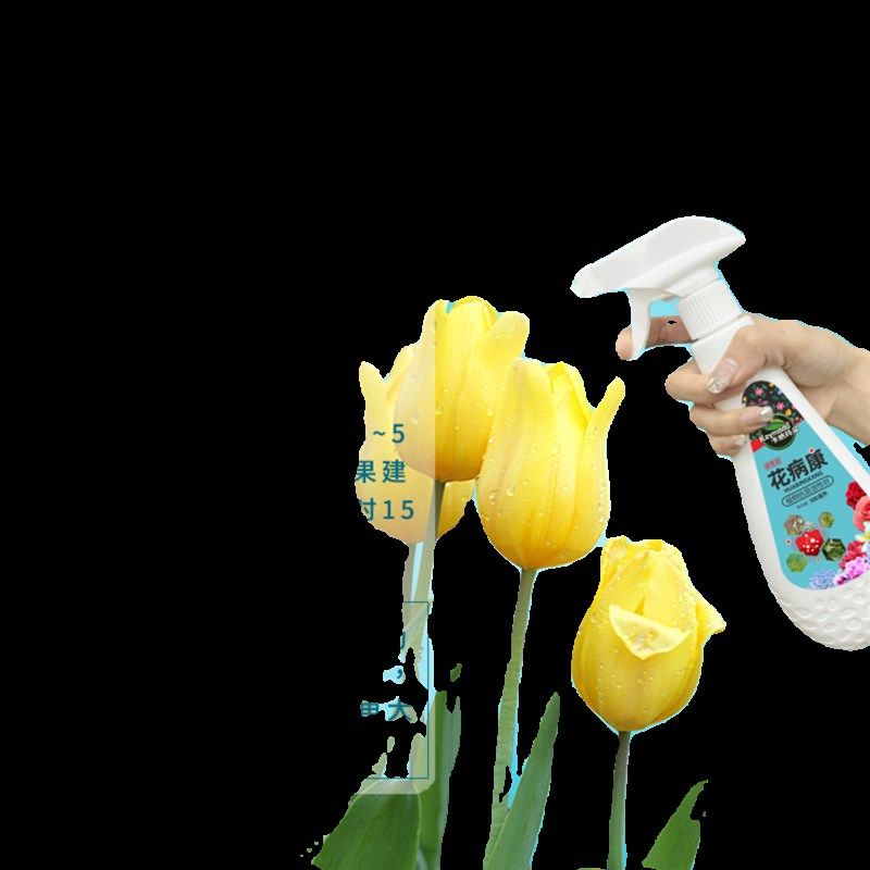 卡纳玛朵花病康植物抗菌活性剂花卉绿植多肉灰霉叶斑黑斑白粉通用,鲜花速递/花卉仿真/绿植园艺,家庭园艺肥料,淘宝优惠券,粉丝福利购,淘宝优惠卷