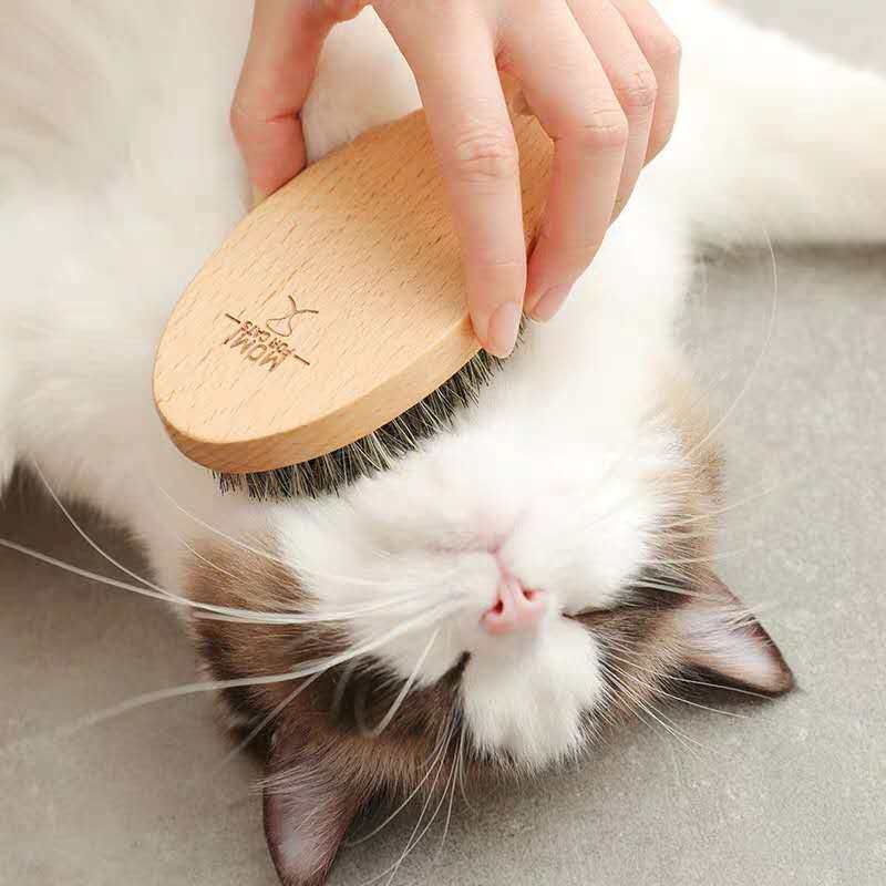 MOMI摩咪猫咪亮毛梳天然猪鬃除尘亮毛刷无静电被毛护理短毛猫虎猫,宠物/宠物食品及用品,洗澡/按摩刷,淘宝优惠券,粉丝福利购,淘宝优惠卷