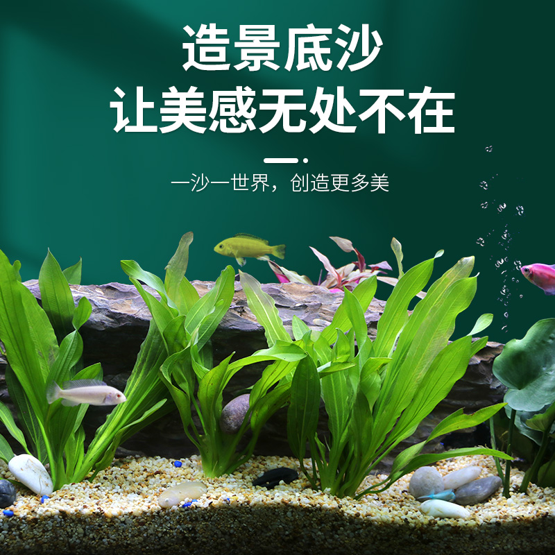 天然底砂化妆沙鱼缸造景装饰底沙南美原生水族箱水草乌龟用铁胆沙
