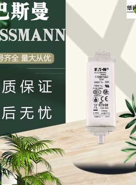 全新巴斯曼熔断器170M1368/69 170M1562/63 170M3142/44170M4269