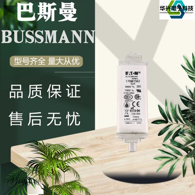 全新巴斯曼熔断器170M1368/69 170M1562/63 170M3142/44170M4269