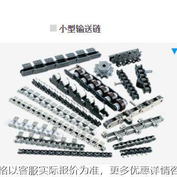 日本链条RF2060S-SS-2LA2-256L不锈钢304双节距输送链