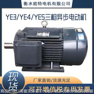 160千瓦三相异步电动机380V电机F级YE3YE4YE5机械用水泵风机专票