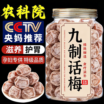 央妈推荐特级广东话梅皇罐装正宗老字号九制话梅孕妇办公解馋零食