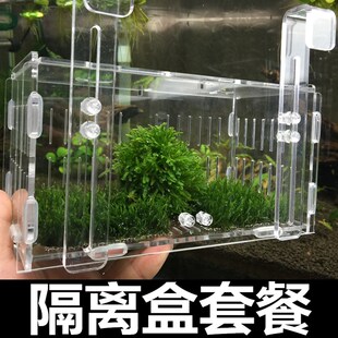 加厚亚克力隔离盒水晶虾繁育盒观赏鱼观赏虾鱼缸孵化盒繁殖盒