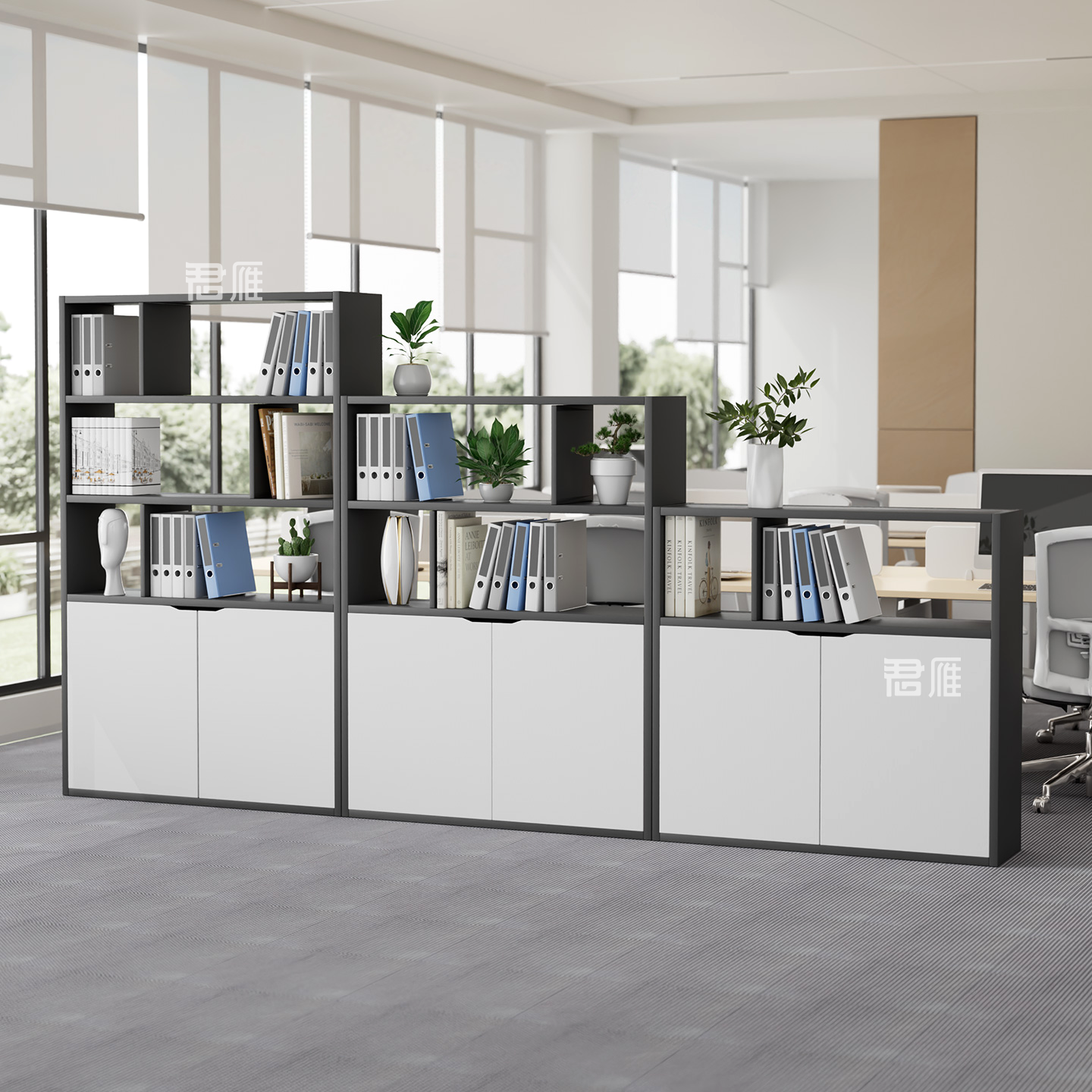 办公室储物柜隔断柜双面多层文件柜矮柜储物柜简约展示柜落地柜,商业/办公家具,办公储物柜,淘宝优惠券,粉丝福利购,淘宝优惠卷