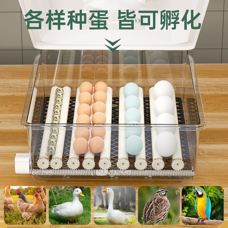 孵化器小型全自动孵化机家用型智能孵蛋器芦丁小鸡鹌鹑鸭鹅孵化箱