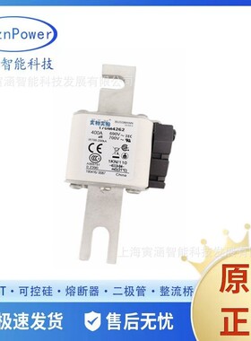 全新现货库伯170M4262 400A 700V 2Pin保险丝/熔断器/熔芯