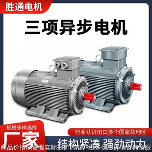 单项380V三相异步电动机YE3 37W 225S 4P卧式 45W 225M 4极立式