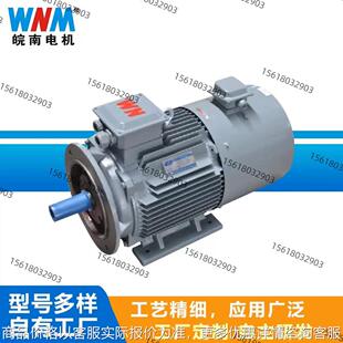 皖南电机YXVF90L-2-2.2W 立式 卧式变频调速电机三相异步电动机