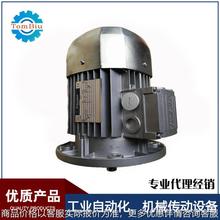 意大利邦飞利三相异步电机BN100LB4 3 W