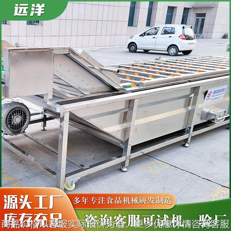食品真空包装袋风干线商用全自动果蔬油菜菠菜生菜清洗风干流水线,清洗/食品/商业设备,果蔬加工设备,淘宝优惠券,粉丝福利购,淘宝优惠卷