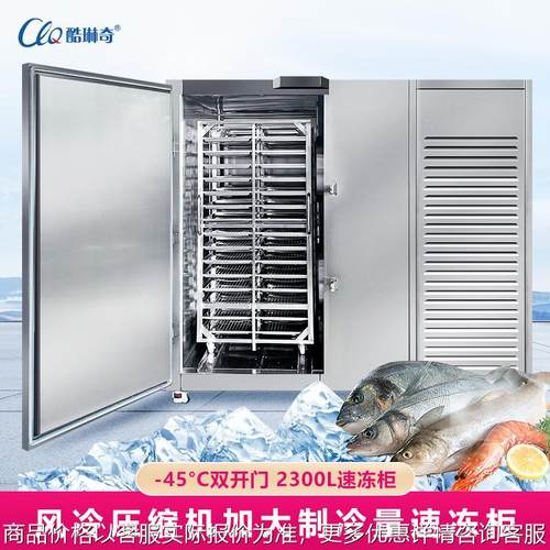 优选印度尼西亚包子馅料速冻生产线-45度立式工业双门低温速冻机