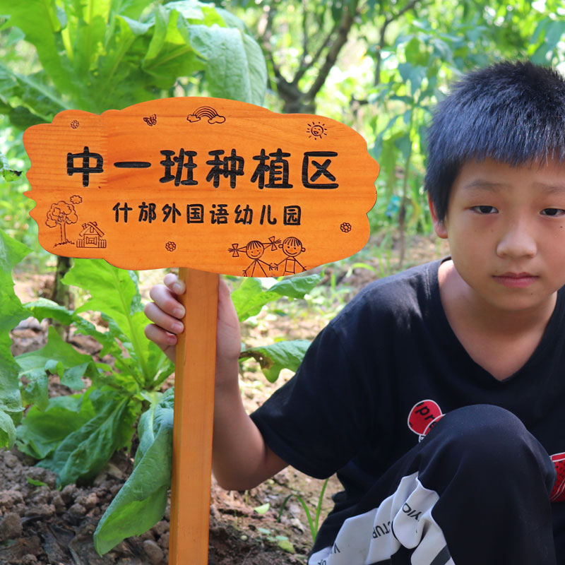 学校菜园插地牌户外花草菜地标识牌 实木幼儿园种植区指示牌定制图片