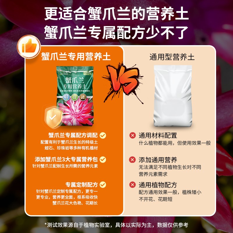 种蟹爪兰专用土花土蟹爪莲营养土开花专用肥蟹脚兰盆栽蟹甲兰土图片