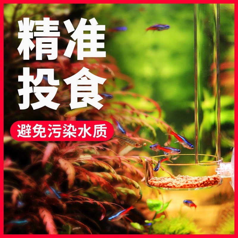 鱼缸喂食管喂鱼喂虾神器喂食器高清玻璃喂食定位鱼缸投食器虾粮盆