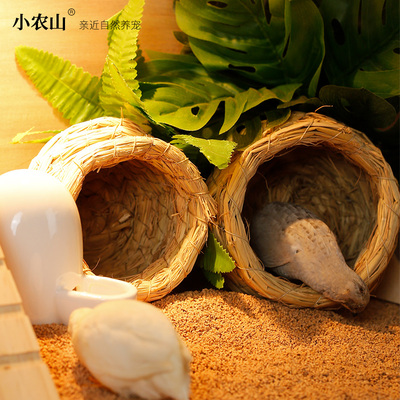 芦丁鸡草窝鹦鹉鸟窝鸡窝草编房子造景用品小鸟巢玄凤过冬保暖全套