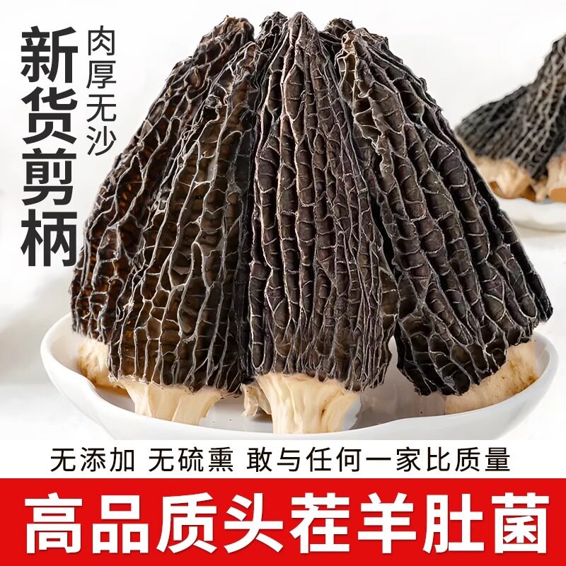 纯天然云南特产羊肚菌干货特级野生菌菇煲汤食材菌类新鲜菌类干货