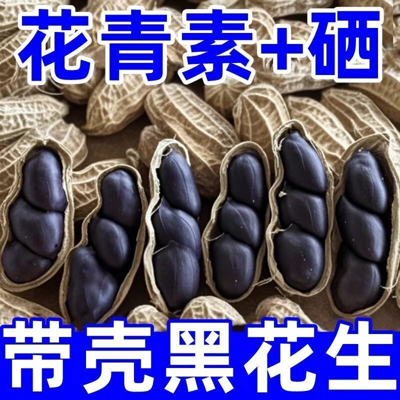 当季新货农家自种新生带壳大粒富硒黑花生可食用米煮粥豆浆